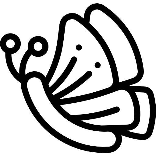 artistwasim@gmail.com