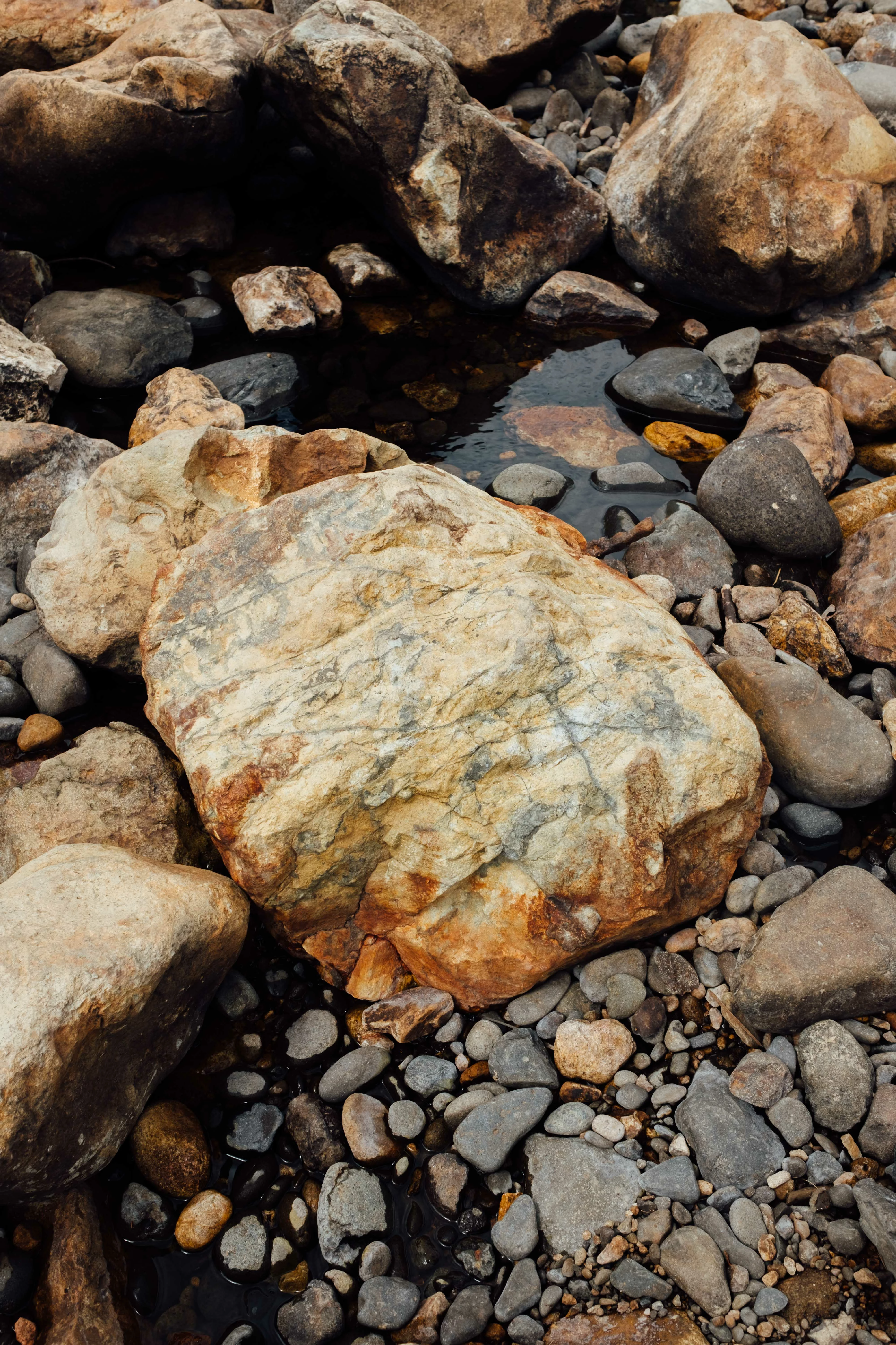 Purchased Ad*be Fail