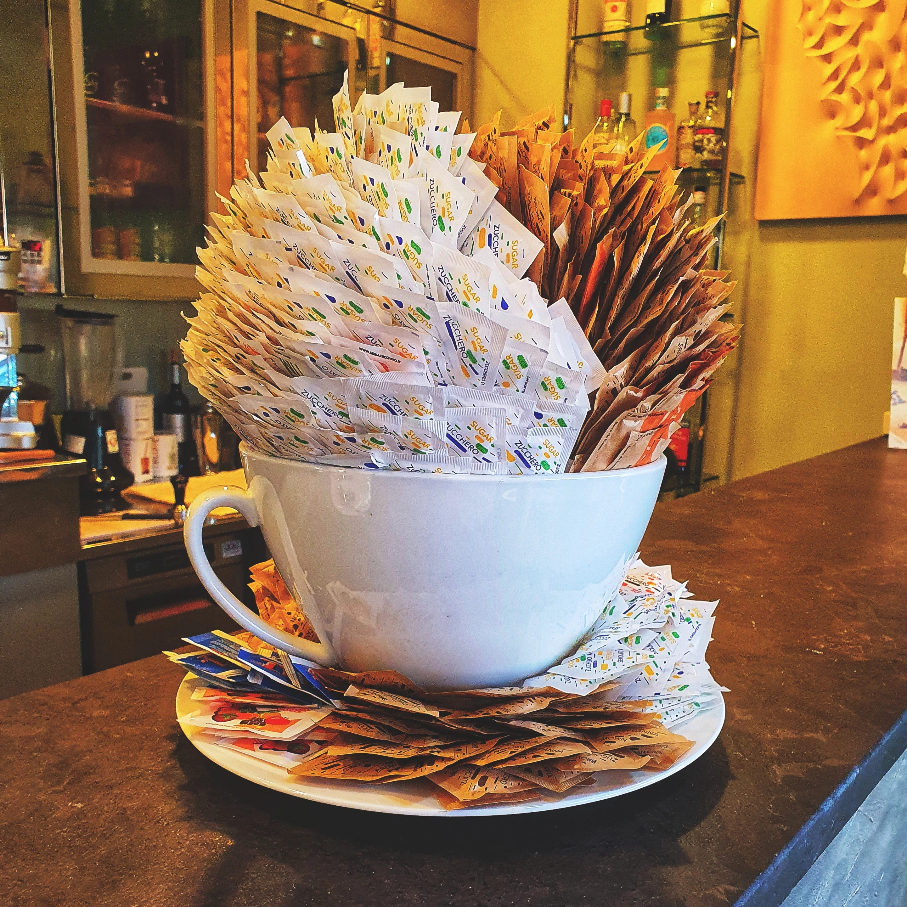 karol_adam_sokolowski