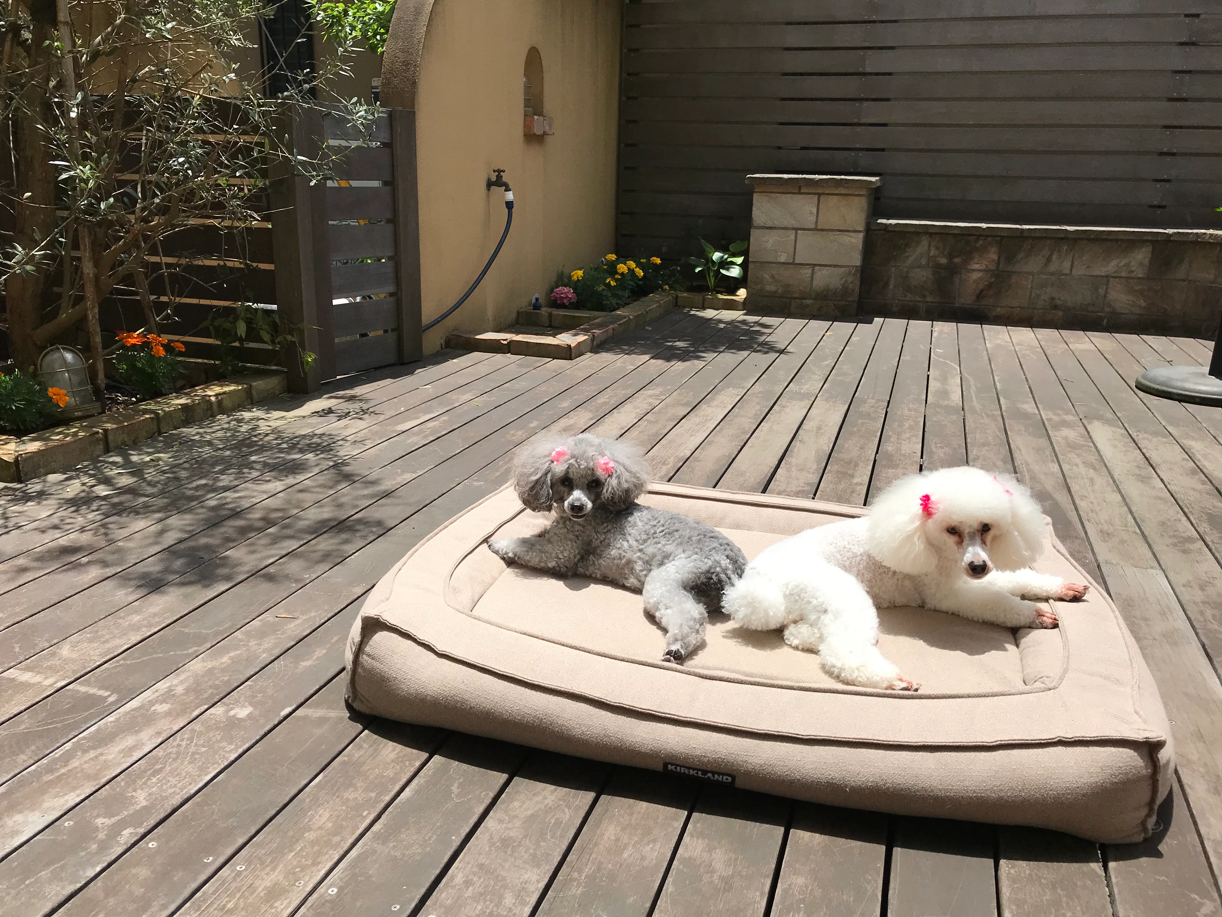 久美子32250759hbuj