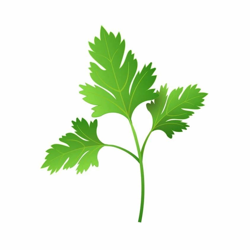 Parsley Leaf
