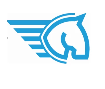 PegasusMSP