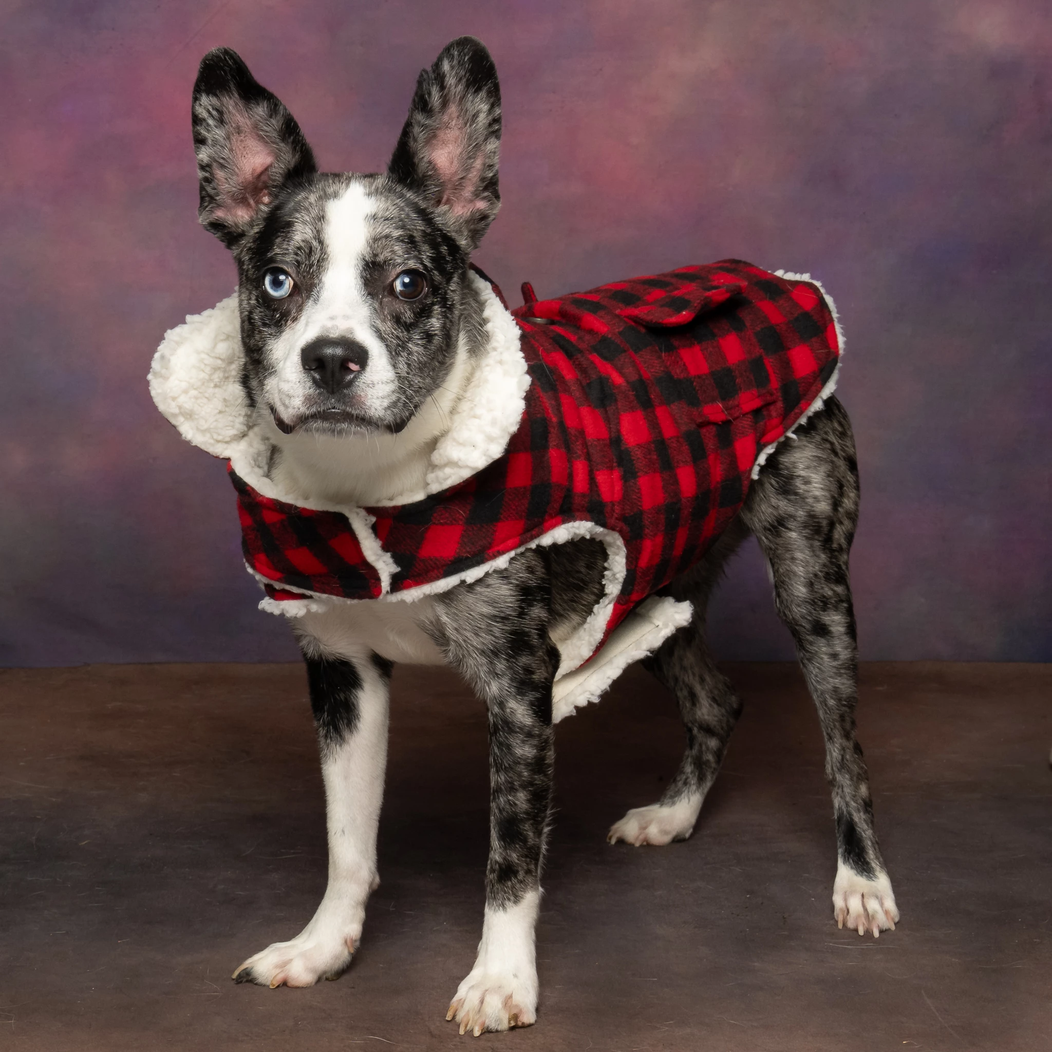 Sue Linders Anderson