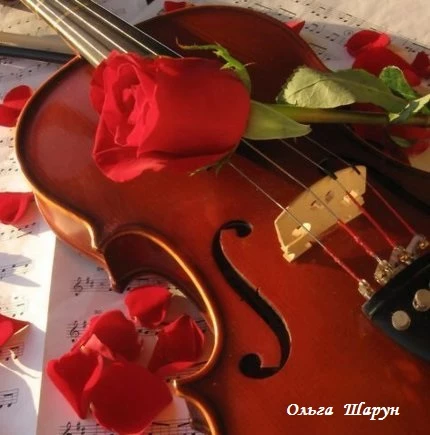 olgash-