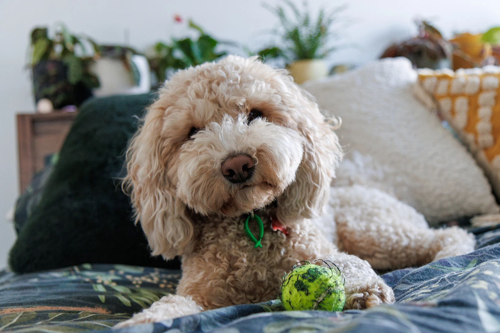 RCH Creative Studio - CB