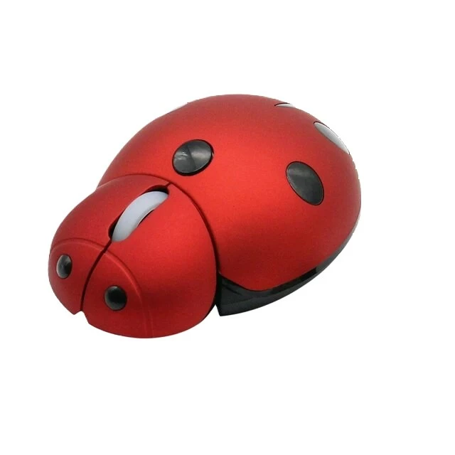 It'saladybug
