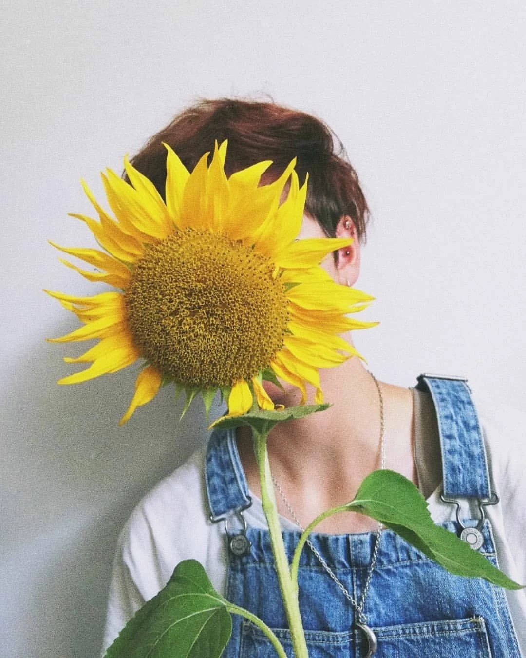 Stellar_uniqueness5CC4