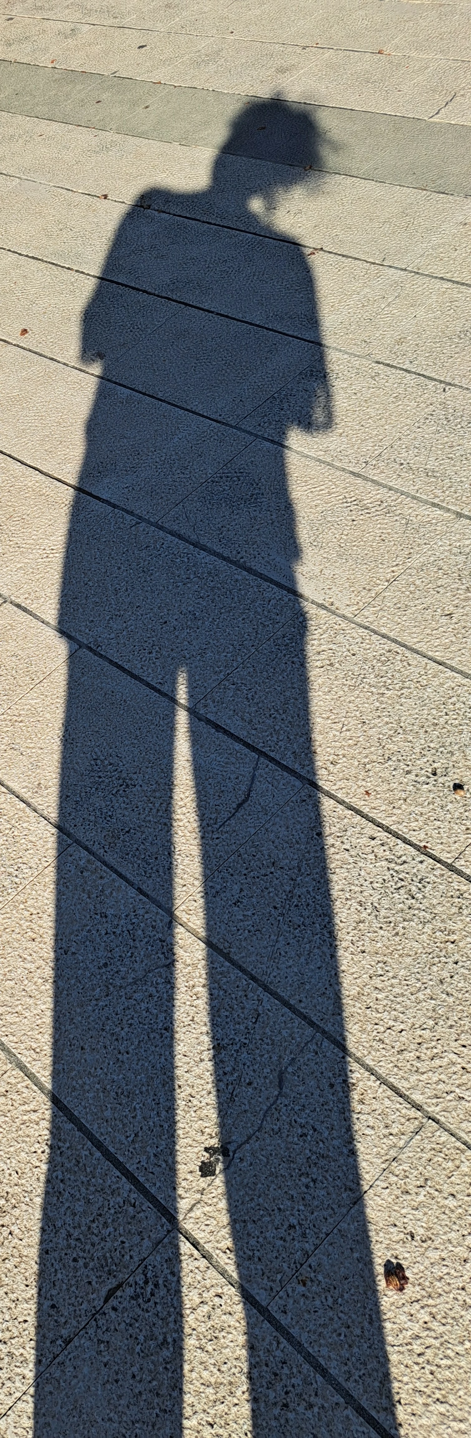 Mystic_Sunflower15A7