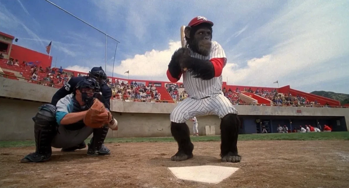 analytical_outfitB839