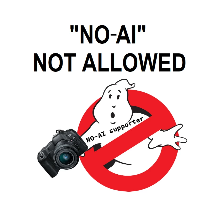 'NO-AI' NOT ALLOWED