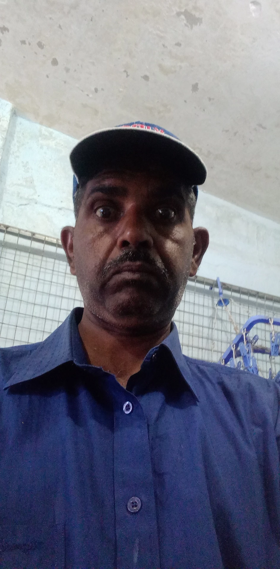 graceful_daydream6C19