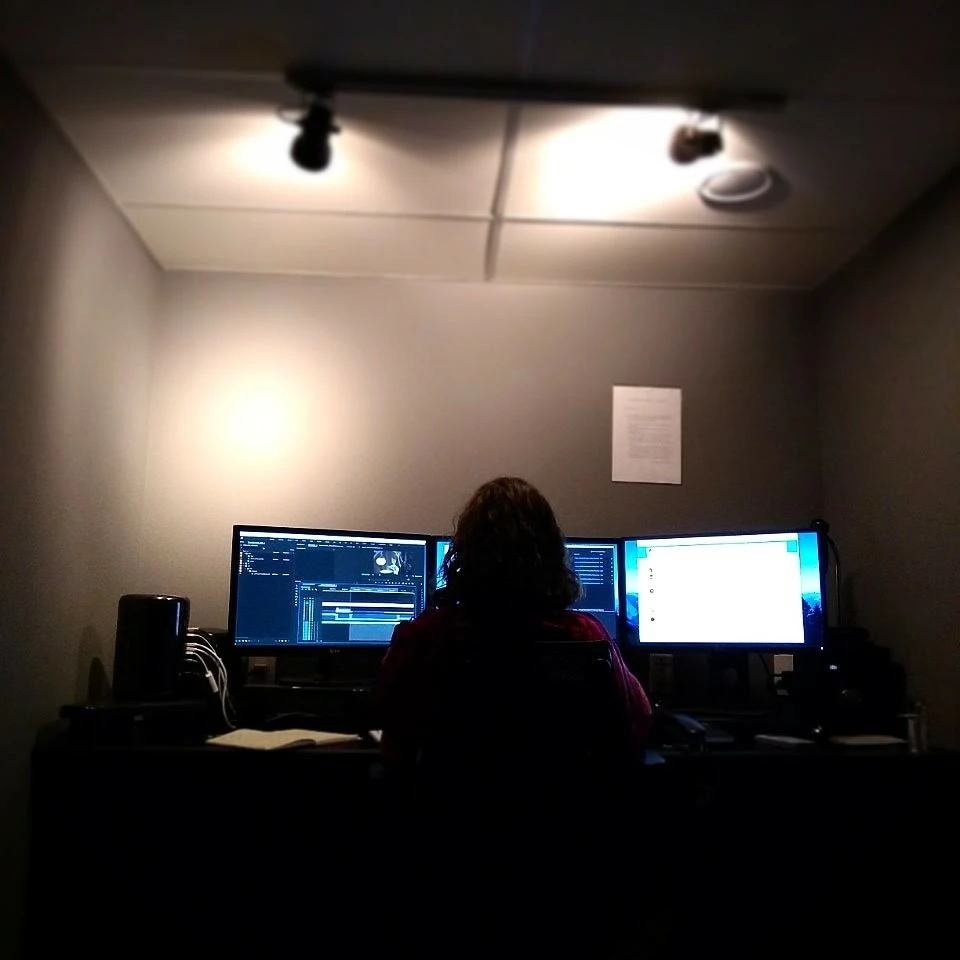 Evelyn Video Editor