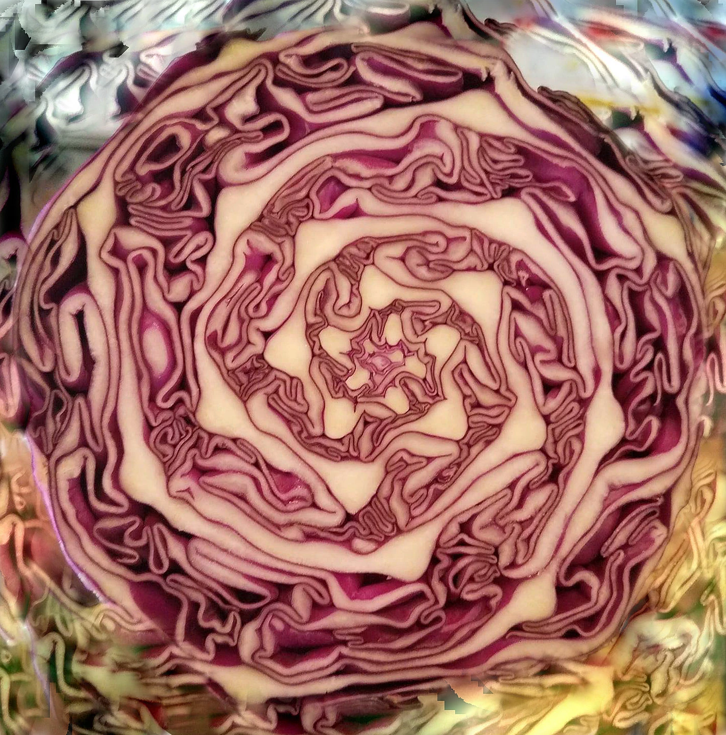 nervesalad