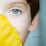 abdul sahibm79488992