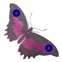 Jeremy_bowmangraphics-DQuh1B