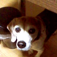 RAMが足りません