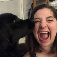 loritodd