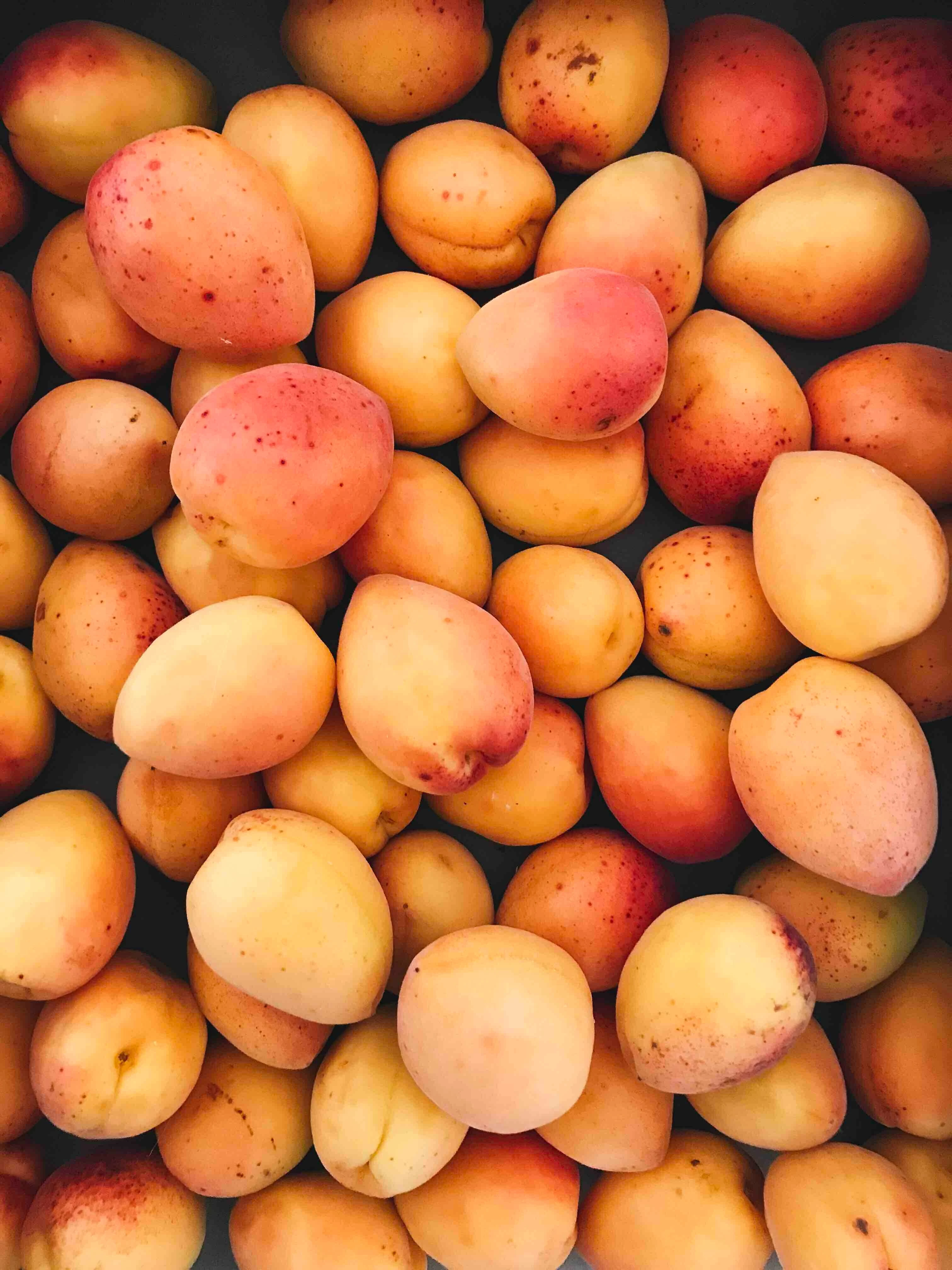 MangoDev