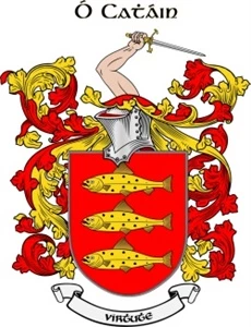 stephenk0001