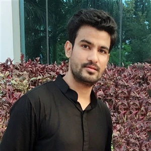 wajahata0003