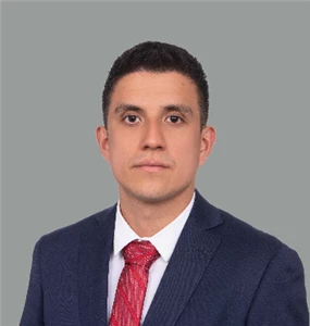 luis.castillo