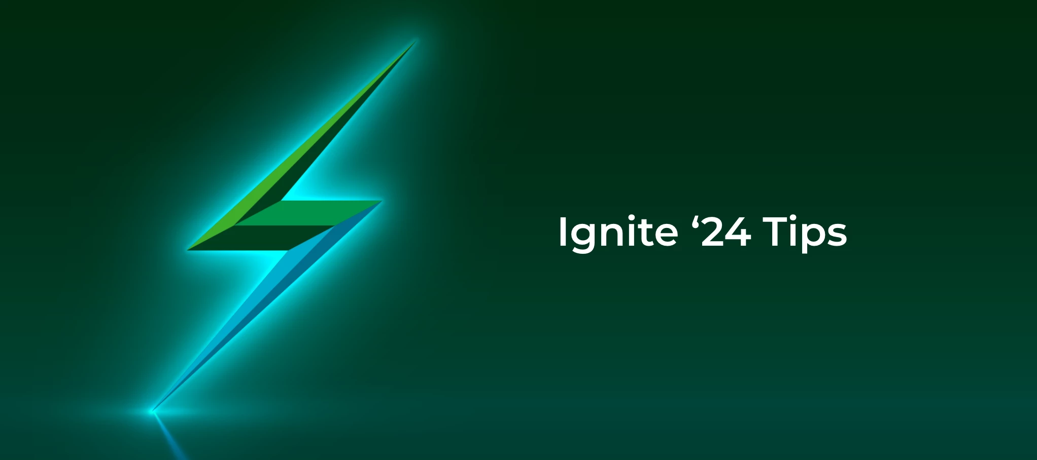 Ignite '24 Tips