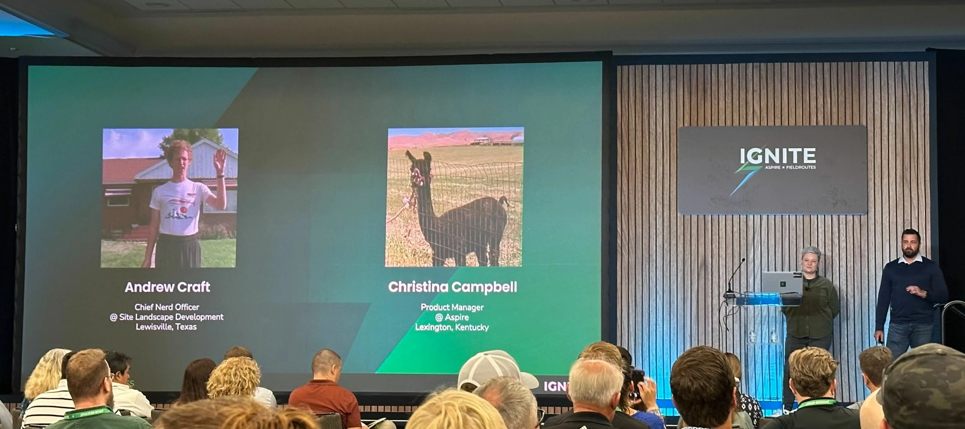 API's, Data Pipelines & External Reporting