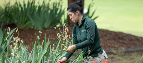 Honoring International Women's Day