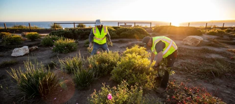 From Heroics to Systems: The Innovation That Survives Turnover and Growth