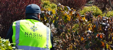 Using the 2026 Commercial Landscape Industry Report for a Better Strategy