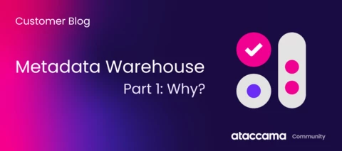 A Metadata Warehouse Pt. 1 - Why?