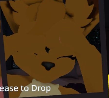 rchrdgts