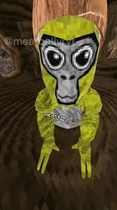 verikoolguy