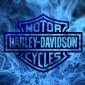 JerseyBiker1171114