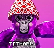 TTKarlVR