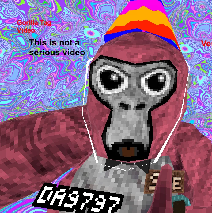 morphle201430