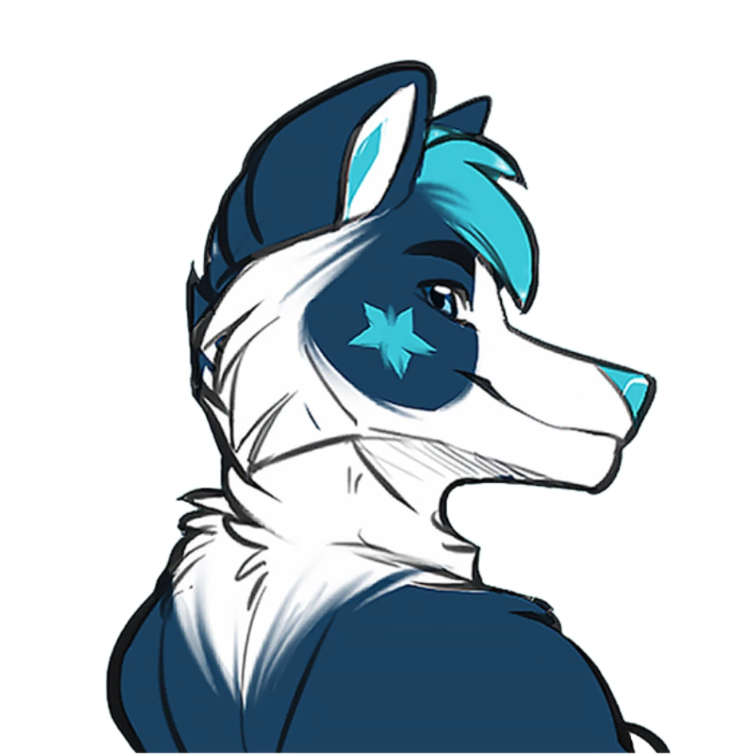 NovaFluffyhusky