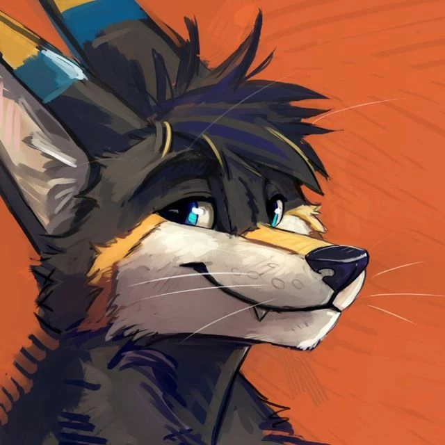 funkerwolf