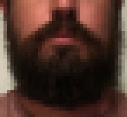 SlaterNation