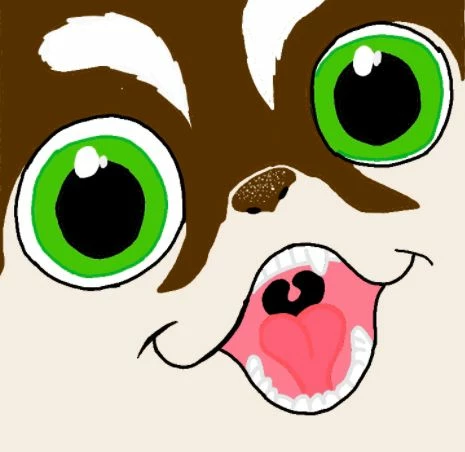 Coffeepaws