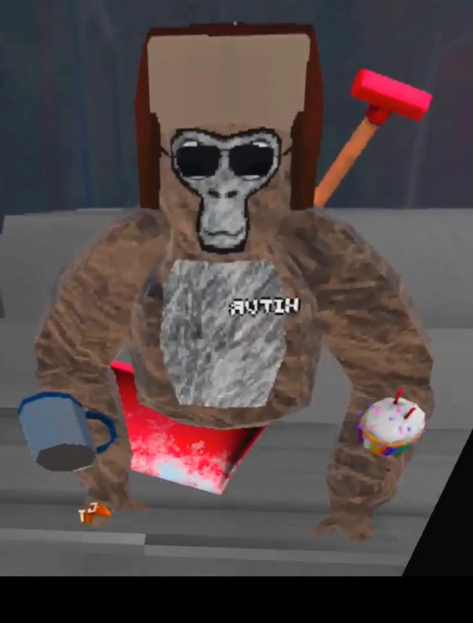 Kitvr439