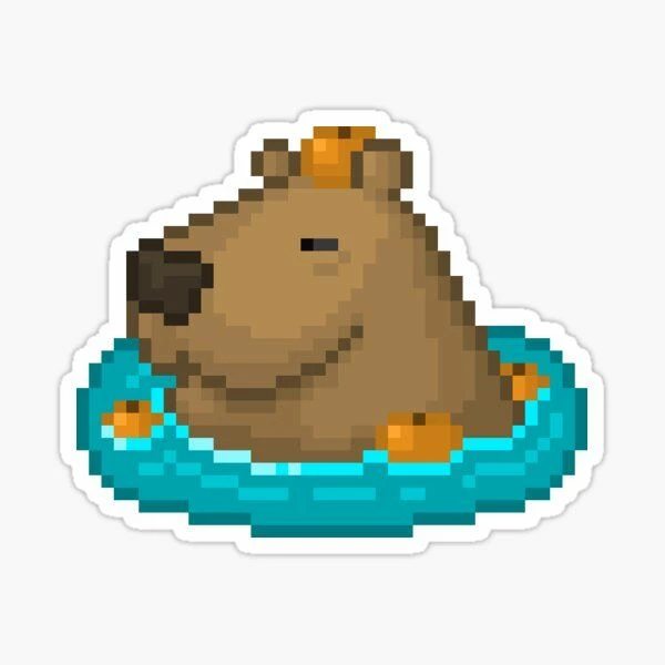 CasualCapybara