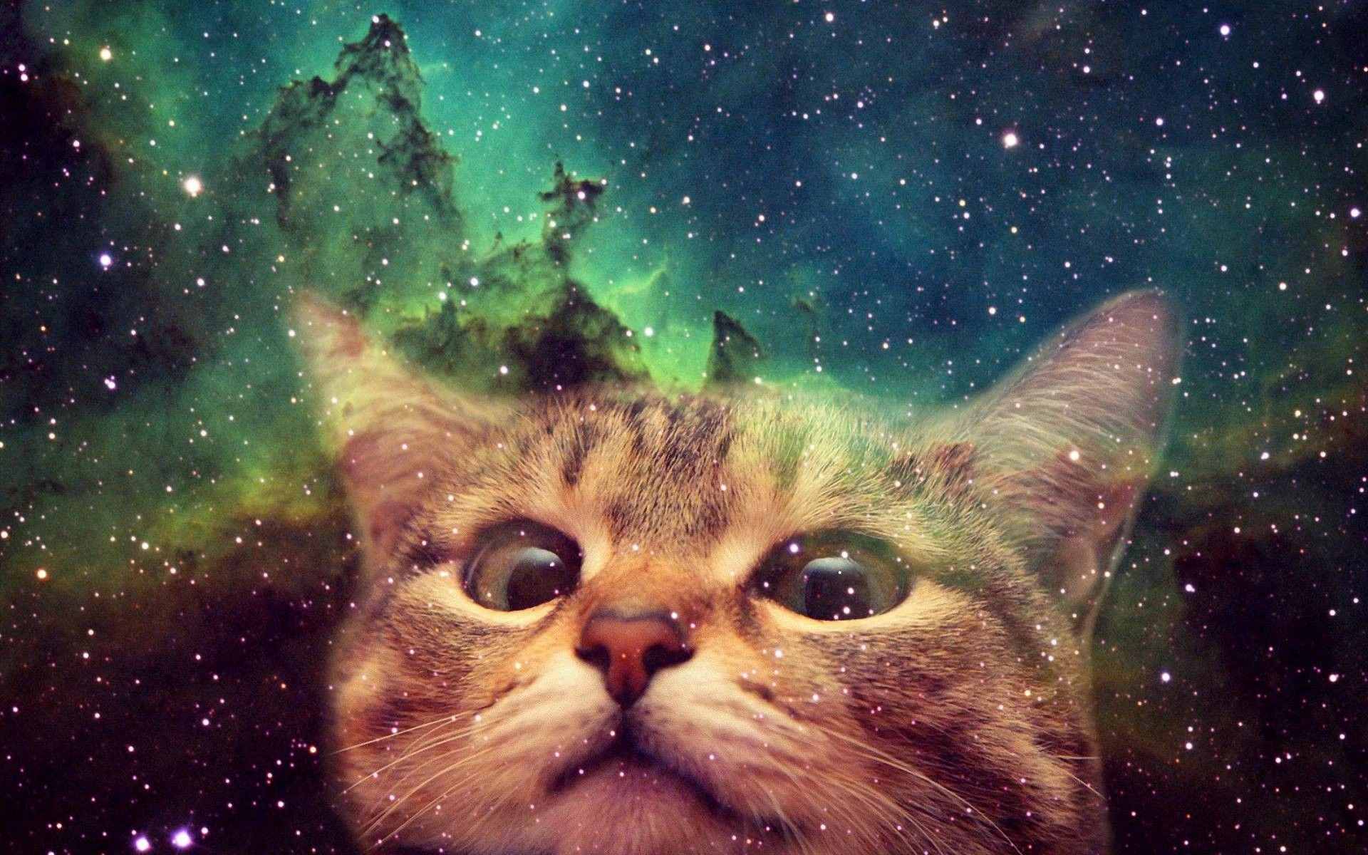 GlitchyTheCat