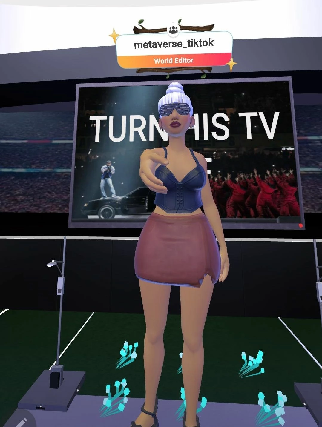 metaversetiktok