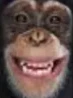 SOSGaming