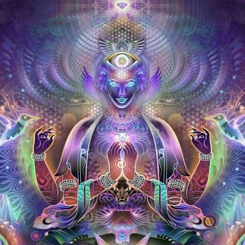 Lucid360