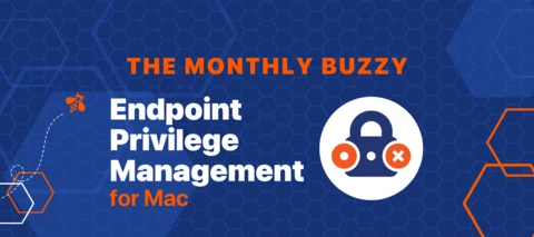 Monthly Buzz - August - Endpoint Privilege Management