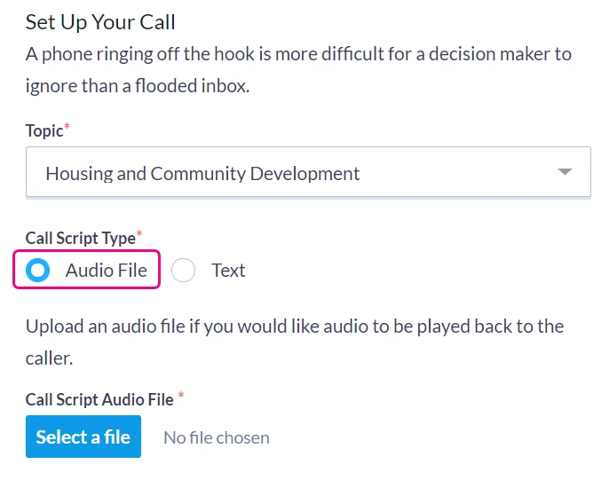 Audio option selected under Set up you call section
