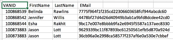 another example of spreadsheet with VANID hightlighted