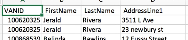 exported spreadsheet with VANID highlighted